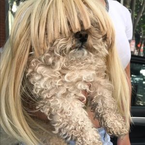 Meet your Posher, Jayne